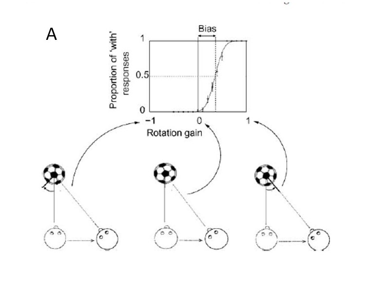 rotational movement demo image