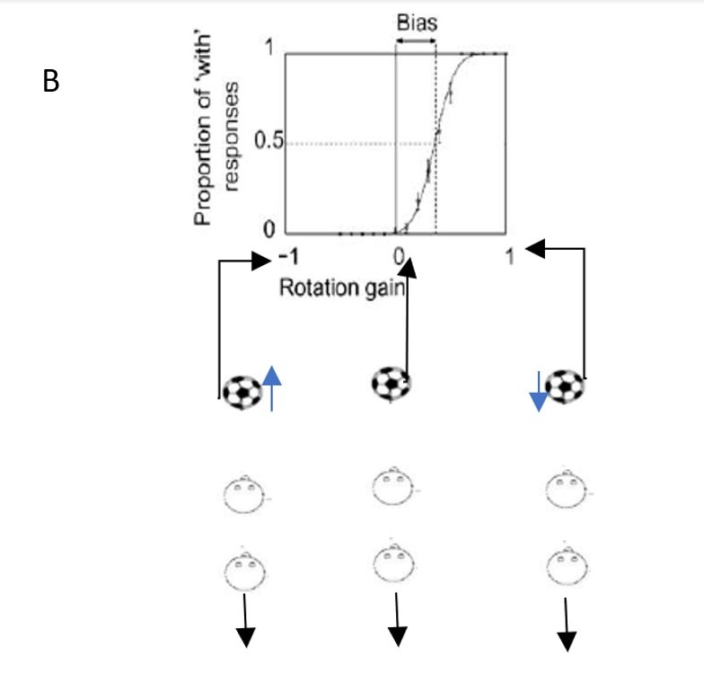 axial movement demo image